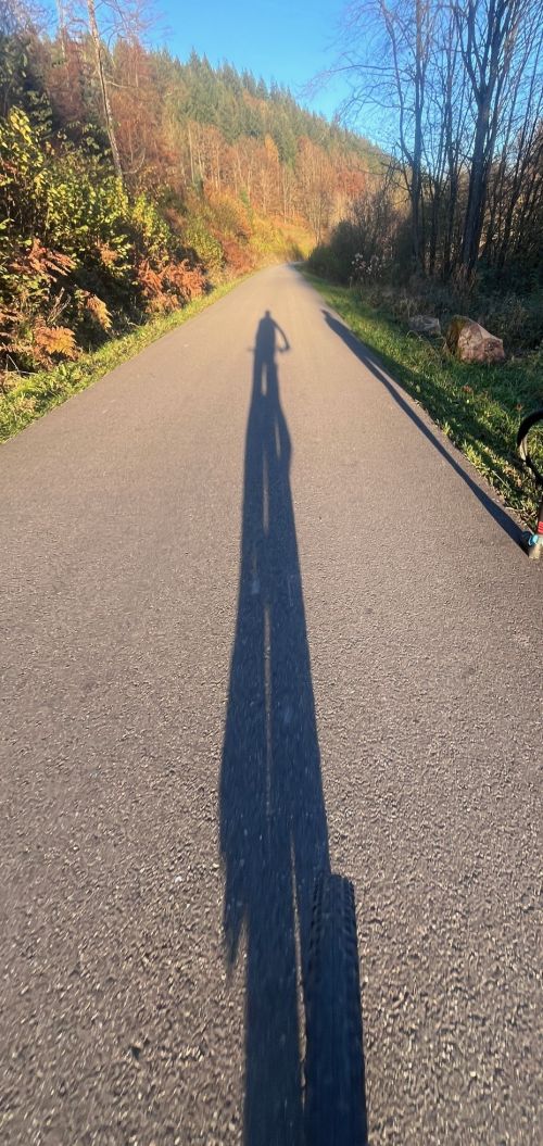 Der lange WEg